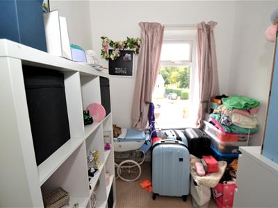 Picture 13